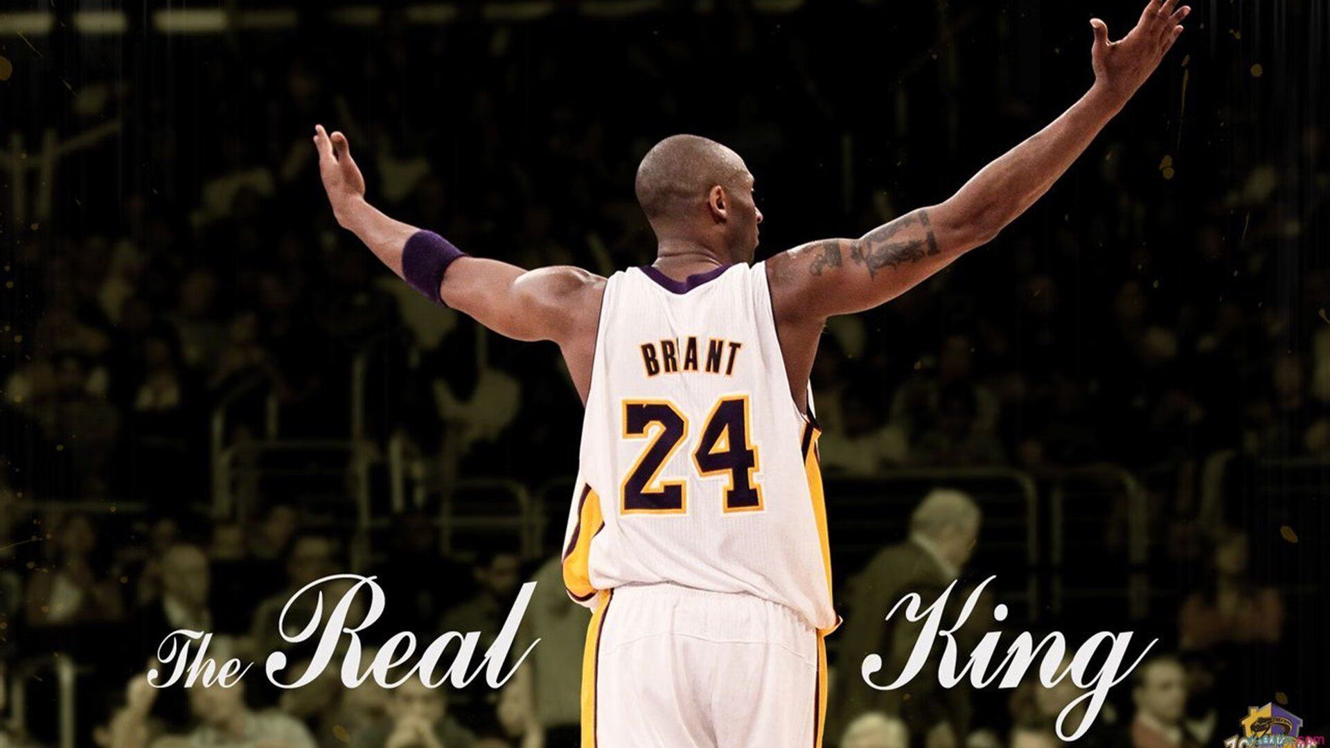 海南夺得赛季最后一场胜利，赛季收官，海南队首发